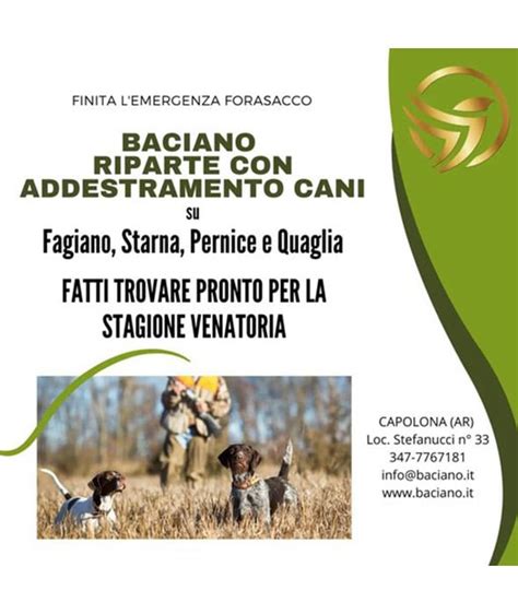 Baciano Riserva Di Caccia Vacanze Di Caccia Italia Regalo Fagiano