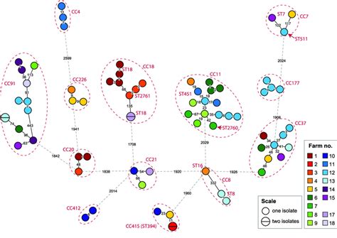 Phylogeny For The L Monocytogenes Isolates From Dairy Farms A Minimum