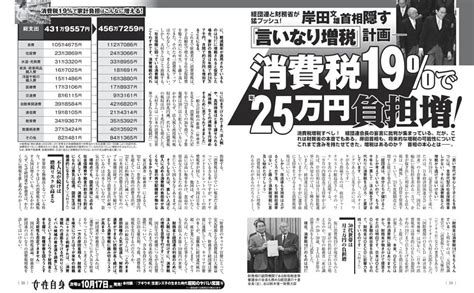 岸田首相隠す「言いなり増税」計画——消費税19％で年25万円負担増！ 女性自身 Dマガジン