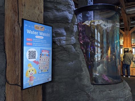 A Look Inside Seattles Real Life Animal Crossing Aquarium Nintendo Life