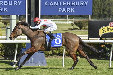 RED HOT LIZZIE Sizzles At Canterbury For A Dynamic Ciaron Maher Team Win