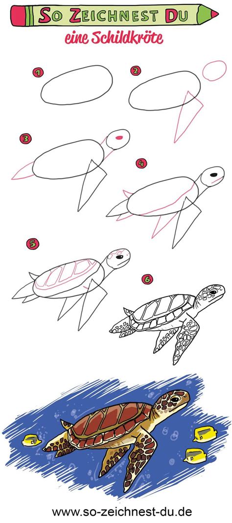 So zeichnest du eine Schildkröte | Schildkröte zeichnen, Fische