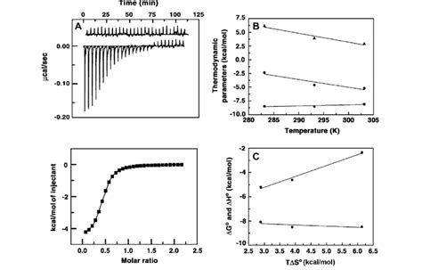 A Isothermal Titration Calorimetry Profile For The Titration Of Ct