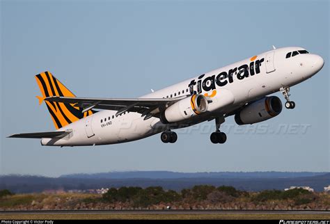 Vh Vnd Tigerair Australia Airbus A Photo By Victor Pody Id