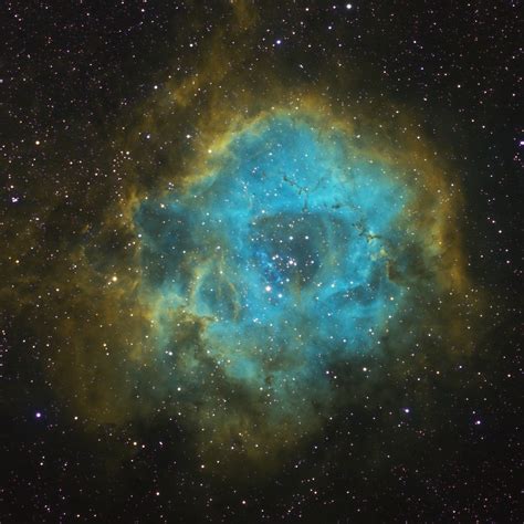 The Rosette Nebula / NGC 2244 in Hubble Palette | Telescope Live