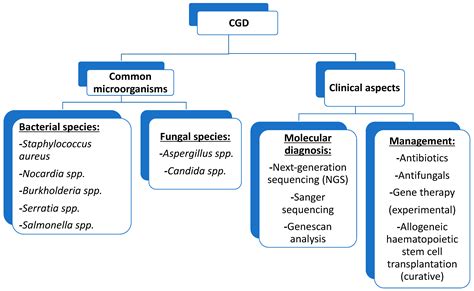 Microorganisms Free Full Text Chronic Granulomatous Disease Cgd