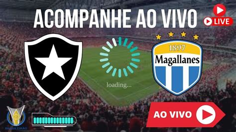 Botafogo X Magallanes Ao Vivo Imagensjogo De Hojeassista Agora