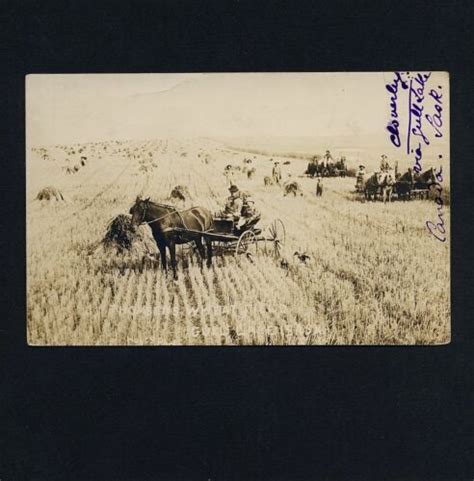 Canada Thomsens Wheat Field Gull Lake Sask Harvest Vintage 10s Real