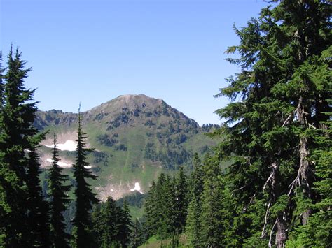 Cady Ridge Pacific Crest Trail Pct Section K Stevens Pass East To Rainy Pass Blue Lake