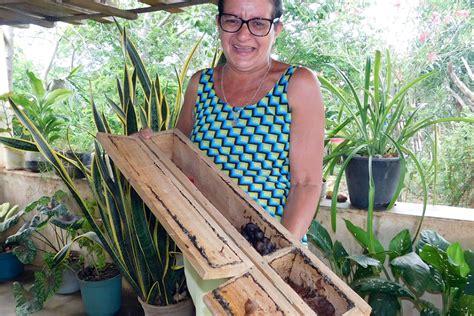 Projeto No Clima da Caatinga realiza live sobre a importância das