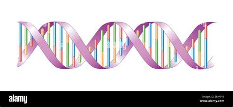 Estructura Terciaria Del Cido Nucleico Im Genes Recortadas De Stock