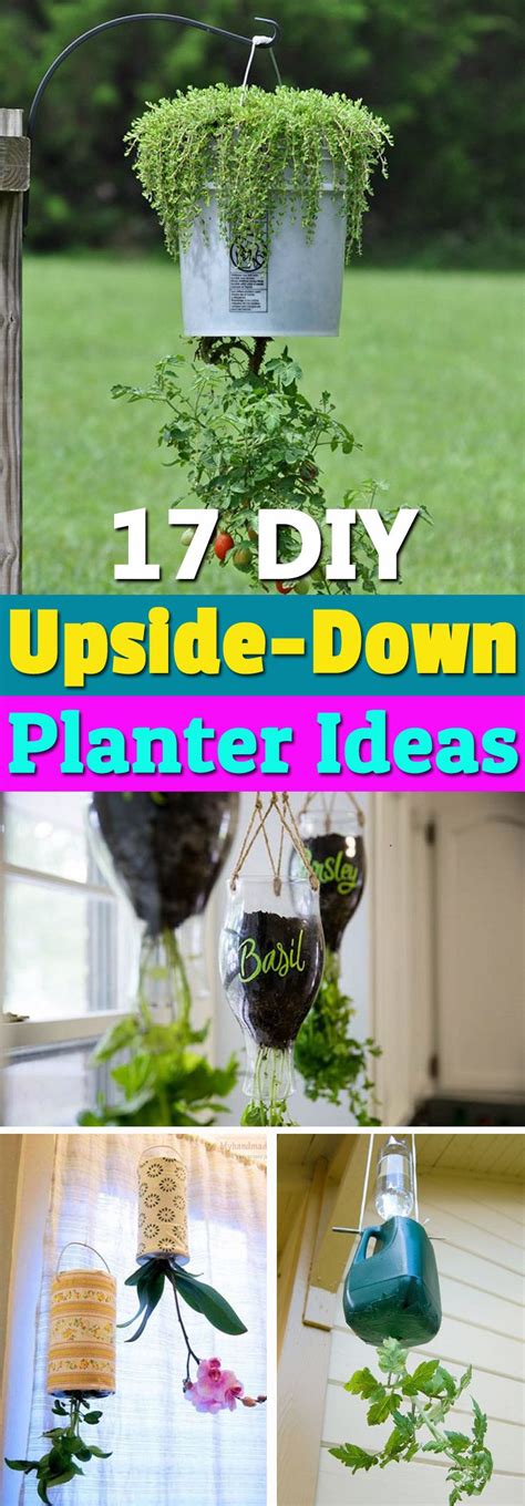 17 Diy Upside Down Planters Ideas Upside Down Plants Upside Down