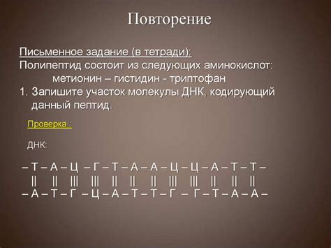 Биосинтез белка. Генетический код - презентация онлайн