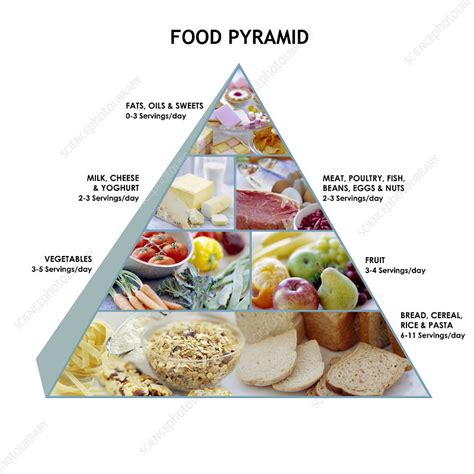 Fats And Oils Food Group