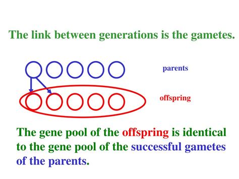 Ppt Quantitative Genetics And Breeding Theory Powerpoint Presentation