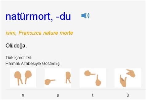 Natürmort nedir TDK ya göre Natürmort ne demek Natürmort ne anlama