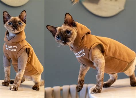 Sphynx Cat Clothes Hoodie Hairless Cat Romper Catsuit Jumpsuit | Etsy