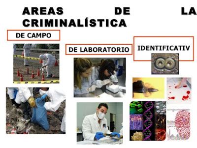 METODOLOGIA DE LA INVESTIGACION CRIMINALISTICA CRIMINALISTICA BASICA