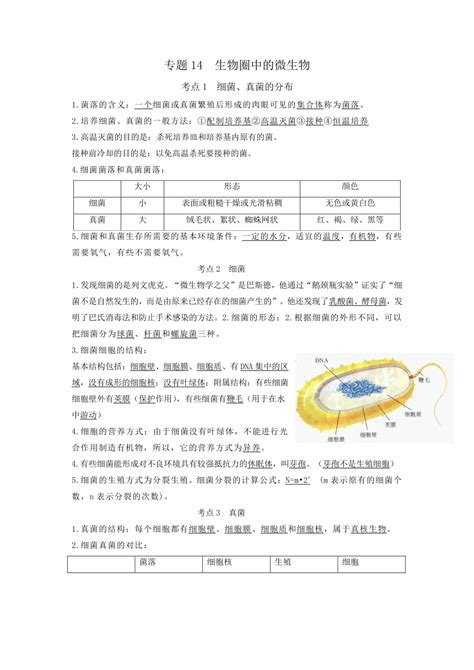 专题14 生物圈中的微生物（知识点） 备战中考生物一轮复习考点（全国通用） 21世纪教育网