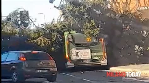 Vento Fortissimo A Milano Albero Cade Su Un Bus Disagi Per I Mezzi Atm