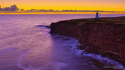 Hd Wallpaper Fireweed Priest Pond Prince Edward Island Spring