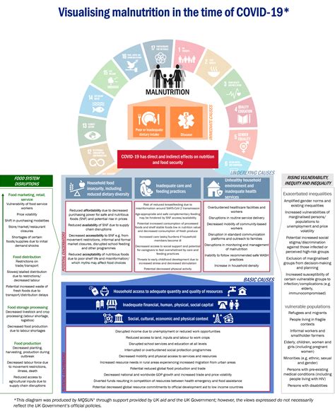 COVID-malnutrition diagram v4 – MQSUN+