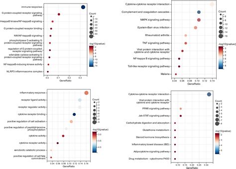 Bioinformatic Analysis Identifies Gpr As A Potential Key Gene In