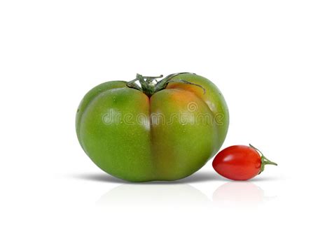 Green And Red Tomato Stock Image Image Of Drop Freshness 12662555