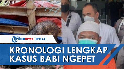 Kronologi Lengkap Kasus Babi Ngepet Yang Gegerkan Depok Dari Awal