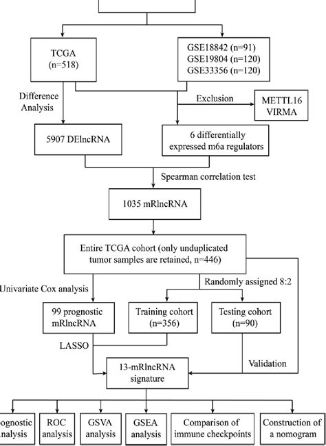 Figure 1 From Development And Validation Of A 13 M6a Related Lncrna