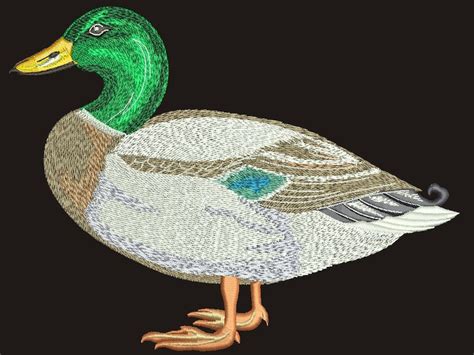 Mallard Duck Embroidery Machine Embroidery Design Instantly Etsy