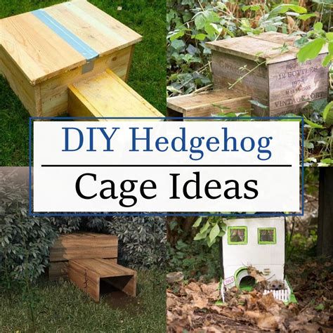 15 DIY Hedgehog Cage Ideas With Superb Enclosures - Teb DIY