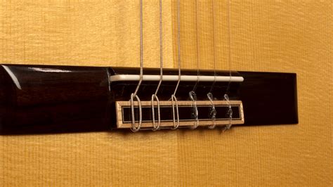 Different Guitar Bridge Types Your Ultimate Bridge Guide