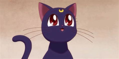 10 Cutest Animal Sidekicks In Anime Ranked