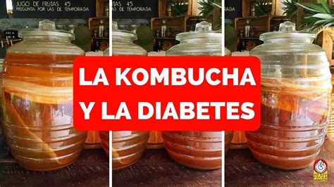 Puedo Tomar La KOMBUCHA Si Tengo DIABETES YouTube