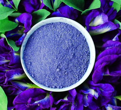 Organic Blue Butterfly Pea Flower Powder Natural Powdered Etsy