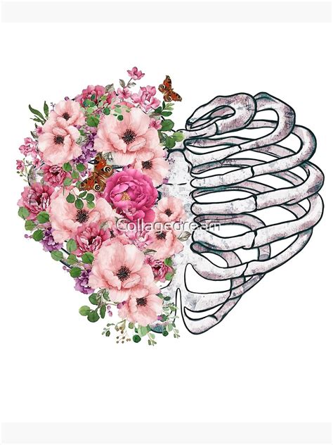 Rib Cage Heart Shape And Pink Roses Rib Cage Anatomy Heart Skeleton