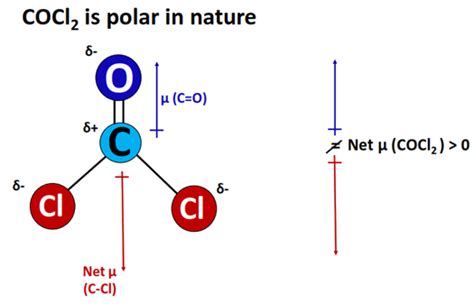 Cocl2 Lewis Structure Molecular Geometry Hybridization Bond Angle