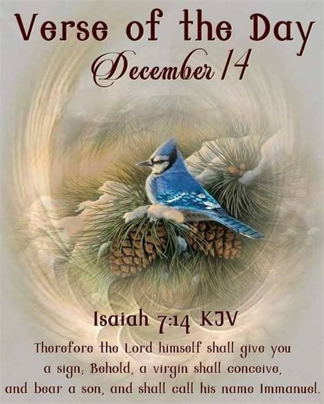 Pin By Denise Stearman On Kjv Only Verse Of The Day December