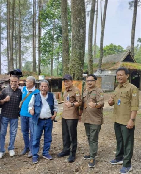 Perhutani Apresiasi Aksi Purnabakti Rimbawan Tanam Pohon Di Cikole