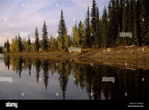 Los Bosques Boreales En El Oto O De Colores Que Se Reflejan En El R O