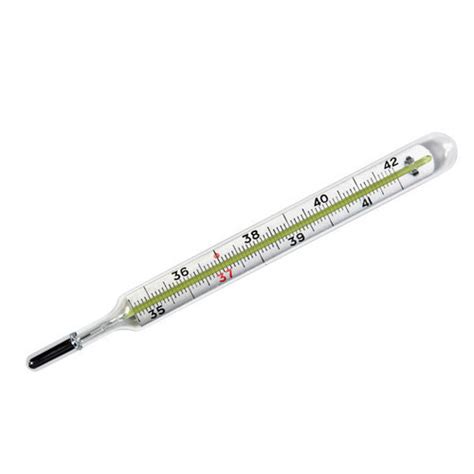 Lab Glass Mercury Thermometer – Sri Lanka Science House