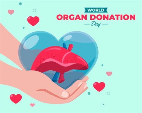 World Organ Donation Day 2024 जागतिक अवयव दान दिवसचा इतिहास आणि