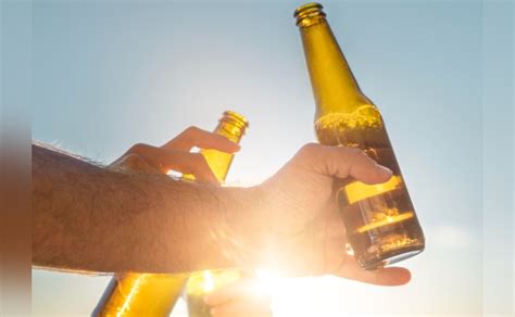 Qué tan buenas son las cervezas en la temporada de calor