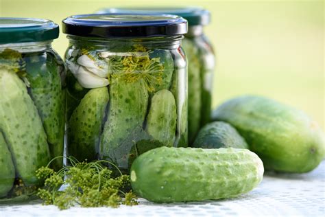 Best Fermented Dill Pickle Recipe | Besto Blog