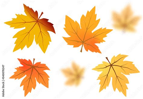 Autumn Maple Leaves Png On Isolated Transparent Background Abstract