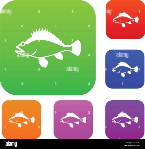 Rose Fish Sebastes Norvegicus Set Collection Stock Vector Image And Art