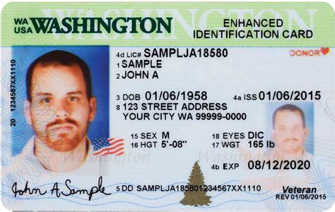 Arizona Identification Card Example At Christina Verena Blog