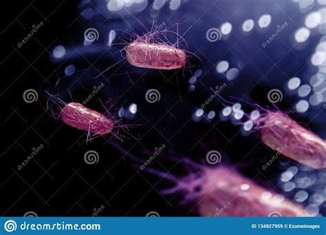 E C Lulas De Las Bacterias De Coli Imagen De Archivo Imagen De Cierre