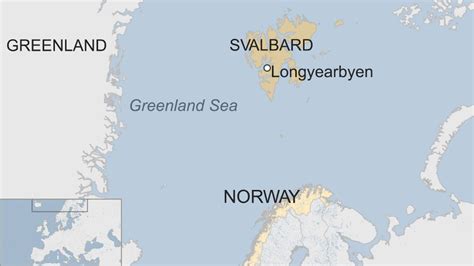 Polar Bear Shot Dead After Attacking Cruise Ship Guard Bbc News